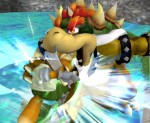 Bowser Bite