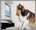 Lassie